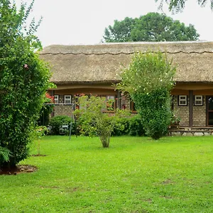 2* Gasthuis Gorilla African